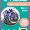 Flowering Tiny Terrariums Bundle - 1 each of 6 Varieties