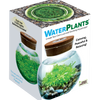 WaterPlants- Grow Lush Aquatic Plants from Seed! Thrives With Minimal Care