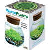 WaterPlants- Grow Lush Aquatic Plants from Seed! Thrives With Minimal Care