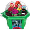 Zombie Brains Themed Micro Dome Terrarium