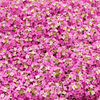 Pink Dwarf Sweet Alyssum – 250 Seeds