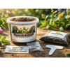 Anise Grow Kit | Seeds In A Cup®