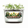 Zucchini Grow Kit | Seeds In A Cup®
