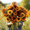 Autumn Beauty Sunflower – 25 Seeds
