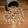 Broad Windsor Fava Bean – 10 Seeds