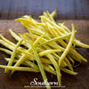 Gold Rush Bean (Bush) – 30 Seeds