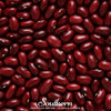 Dark Red Kidney Bean (Bush) – 20 Seeds