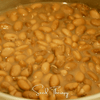 Pinto Bean – 20 Seeds