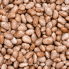 Pinto Bean – 20 Seeds