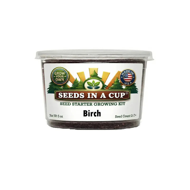 White Birch Tree Grow Kit