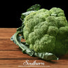 Calabrese Green Broccoli – 100 Seeds