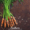 Little Finger Carrot – 250 Seeds