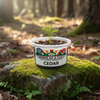 Cedar Tree Grow Kit