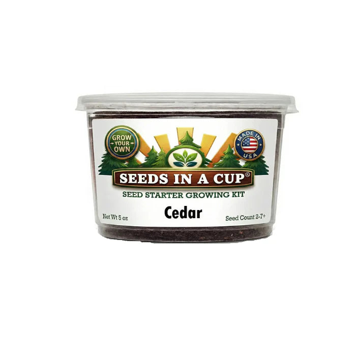 Cedar Tree Grow Kit