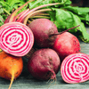 Chioggia Beet – 100 Seeds