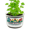 Cilantro Grow Kit | Seeds In A Cup®