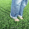 Micro Clover (Mini) – 10,000 Seeds