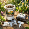 Cedar Tree Grow Kit