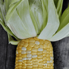 Peaches & Cream Corn – 30 Seeds
