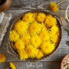 True Dandelion – 50 Seeds
