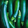Dark Green Zucchini Summer Squash – 25 Seeds