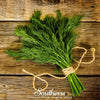 Dukat Dill – 100 Seeds