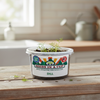Dill Grow Kit | Seeds In A Cup®