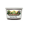American Elm Tree Grow Kit