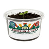 Cauliflower Grow Kit | Seeds In A Cup®