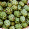 Green Globe Artichoke – 25 Seeds
