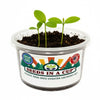 American Ash Tree Grow Kit