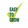 Green Beans Grow Kit | Seeds In A Cup®