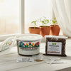 Papaya Grow Kit | Seeds In A Cup®