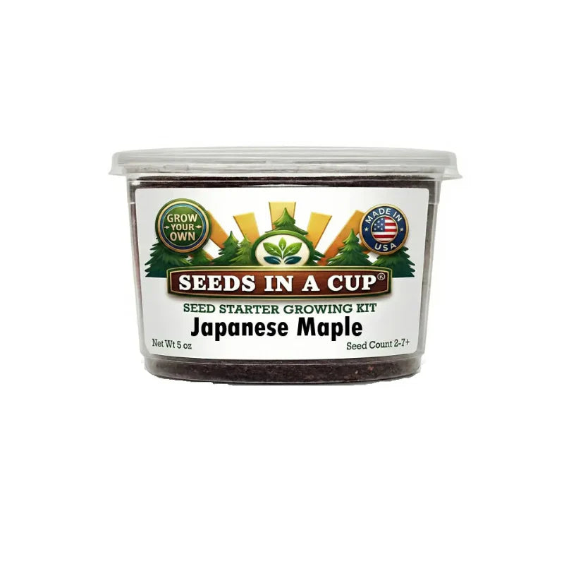 Japanese Maple Grow Kit
