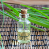 Lemon Grass – 100 Seeds