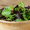 Gourmet Mix Lettuce – 500 Seeds
