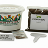 Cedar Tree Grow Kit
