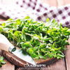 Sweet Marjoram – 100 Seeds