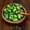 Mouse Melon – 10 Seeds