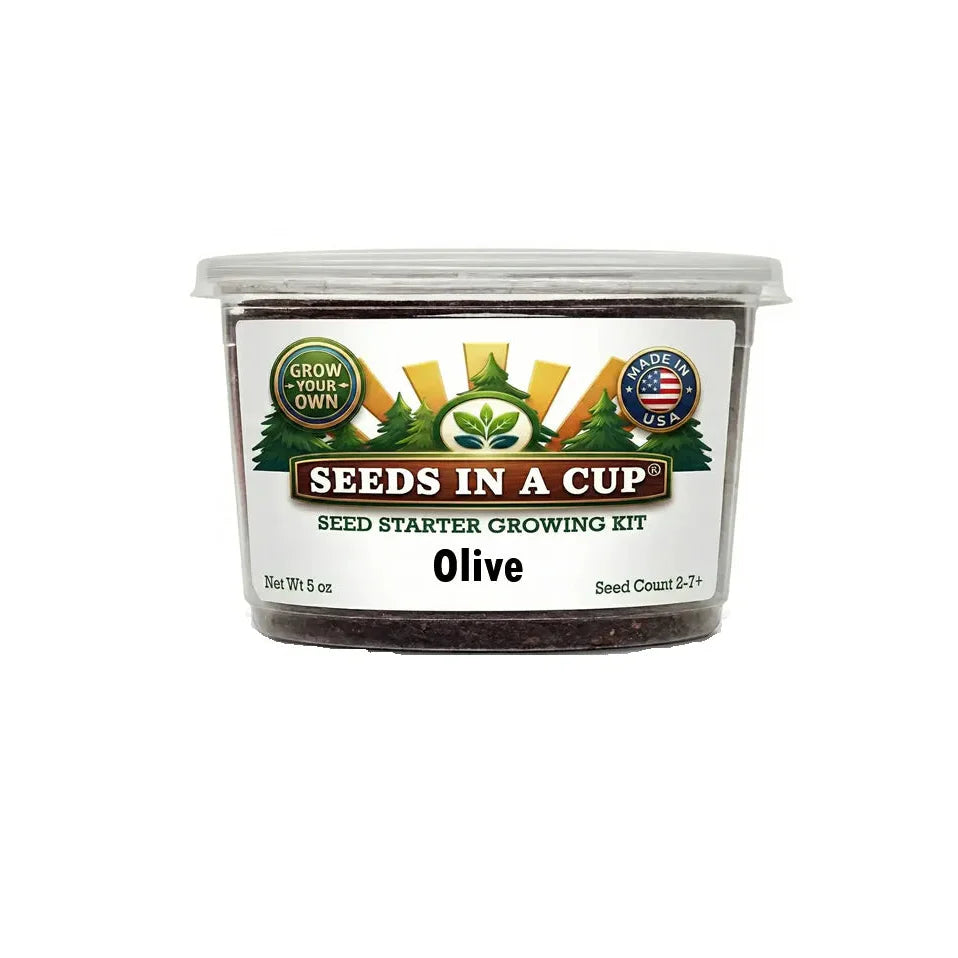 Olive Tree Grow Kit | Seeds In A Cup®