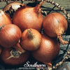 Spanish Yellow Sweet Onion – 200 Seeds