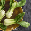 Canton Pak Choi – 100 Seeds