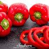 Big Red Sweet Bell Pepper – 30 Seeds