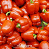 Big Red Sweet Bell Pepper – 30 Seeds