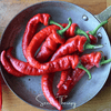 Jimmy Nardello's Pepper – 25 Seeds