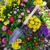 DeWit Trowel - Midsize Handle