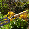 DeWit Fork - Midsize Handle