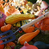 DeWit Fork - Midsize Handle