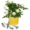 Plant Grooming Tools - Set of 4