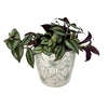 7" Green Flower Round Self-Watering Bamboo Pot
